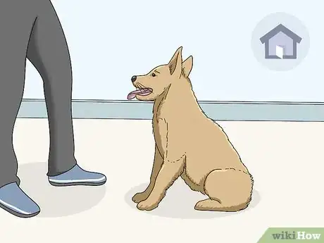 Imagen titulada Eliminate Fleas from Your Home for Free Step 12