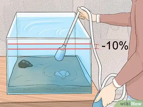 Imagen titulada Clean a Saltwater Tank Step 4