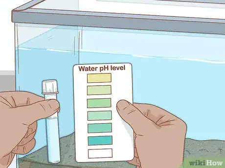 Imagen titulada Care for Turtles Step 14
