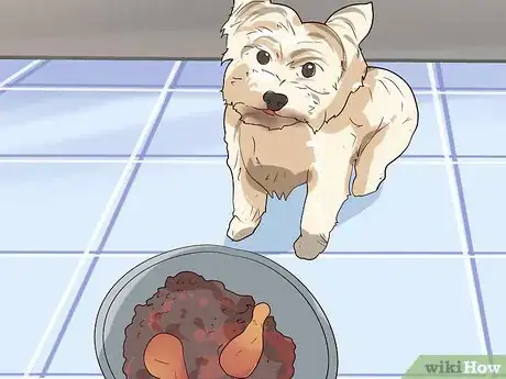 Imagen titulada Comfort Your Sick Dog Step 17