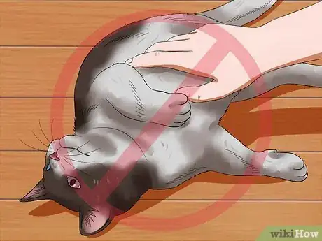 Imagen titulada Pet a High Strung Cat Step 14