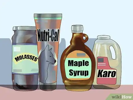 Imagen titulada Handle Hypoglycemia in Young Puppies Step 3