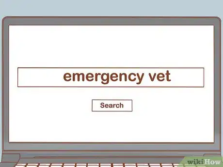 Imagen titulada Treat a Cat with Blood in Its Stool Step 6