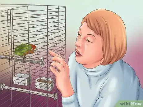 Imagen titulada Train a Bird to Step on Your Finger Step 2