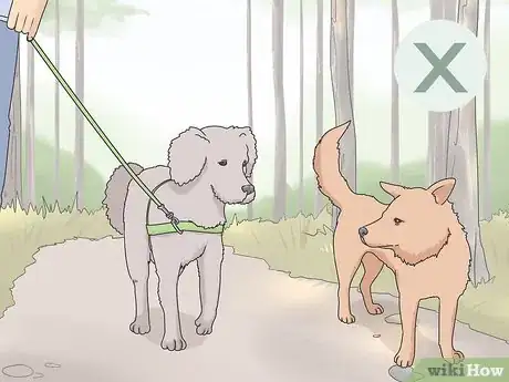 Imagen titulada Treat Giardia in Dogs Step 13