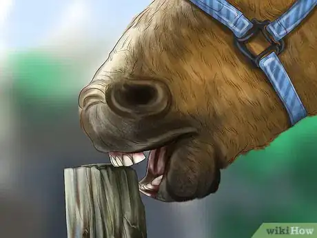 Imagen titulada Reprimand a Pet Step 9