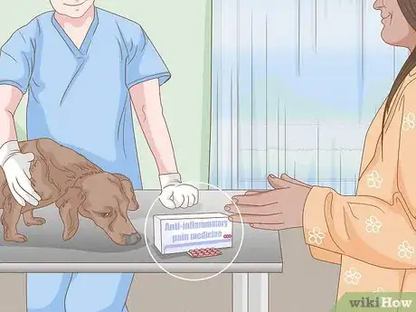 Imagen titulada Strengthen an Old Dog's Hind Legs Step 12