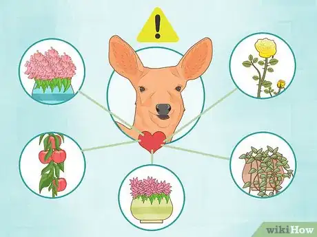 Imagen titulada Get Rid of Deer Step 10