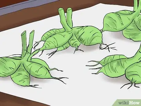 Imagen titulada Overwinter Dahlias Step 5
