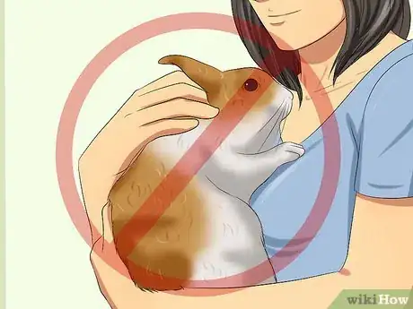Imagen titulada Care for a House Rabbit Step 3