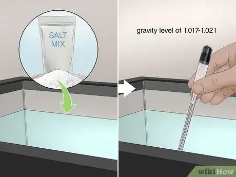 Imagen titulada Start a Saltwater Aquarium Step 21