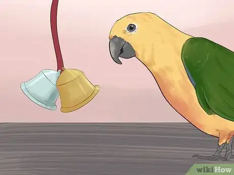 Imagen titulada Entertain a Conure Step 3
