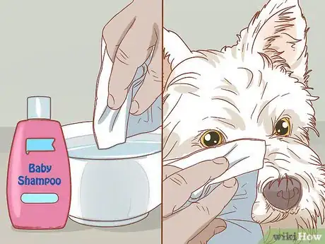 Imagen titulada Remove a Tear Duct Stain from White Dogs Step 2