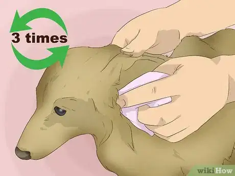 Imagen titulada Make an Oatmeal Bath for a Dog Step 11