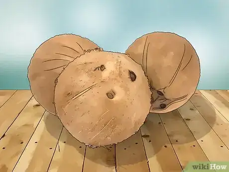 Imagen titulada Make Vegetable Oil Step 18