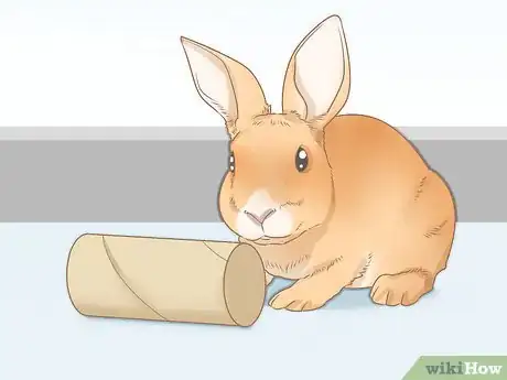 Imagen titulada Set up a Rabbit Cage Step 15
