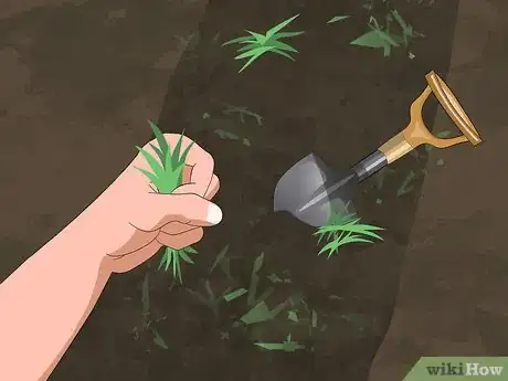 Imagen titulada Prepare Soil for a Garden Step 5