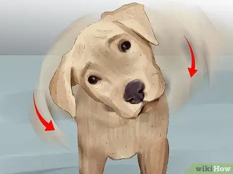 Imagen titulada Diagnose Canine Ear Infections Step 2
