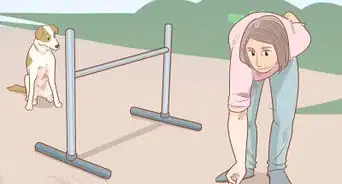enseñarle a tu perro a saltar