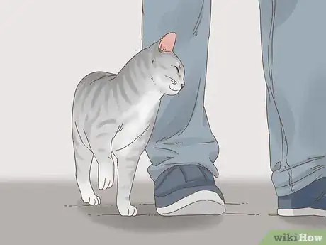 Imagen titulada Communicate with Your Cat Step 4