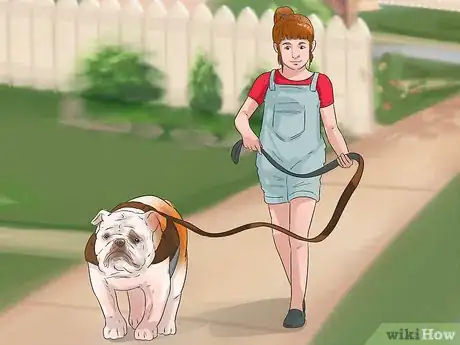 Imagen titulada Be a Good Pet Owner (for Kids) Step 4