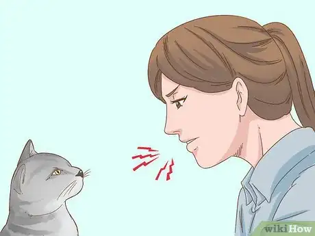 Imagen titulada Communicate with Your Cat Step 7