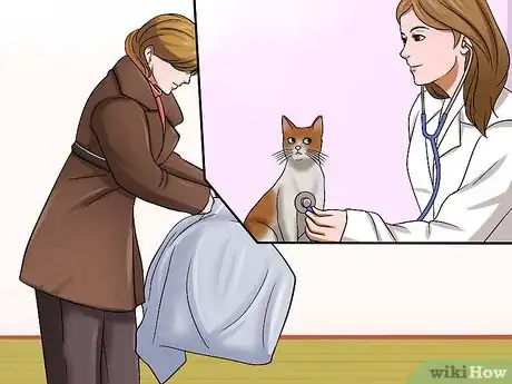 Imagen titulada Have Multiple Cats Step 16