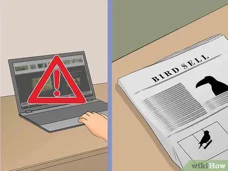 Imagen titulada Sell Your Bird Step 11