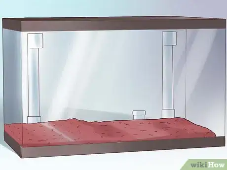 Imagen titulada Create an Undergravel Filter for Your Fishtank Step 7