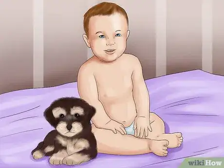 Imagen titulada Take Care of Teacup Puppies Step 10