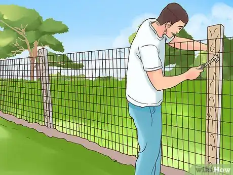 Imagen titulada Care for a Pet Fox Step 1