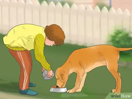 Imagen titulada Be a Good Pet Owner (for Kids) Step 1