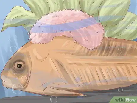 Imagen titulada Keep Your Fish from Dying Step 8