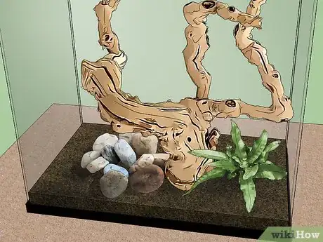 Imagen titulada Care for Green Anole Lizards Step 4
