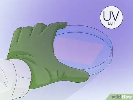 Imagen titulada Determine Genotype Step 14
