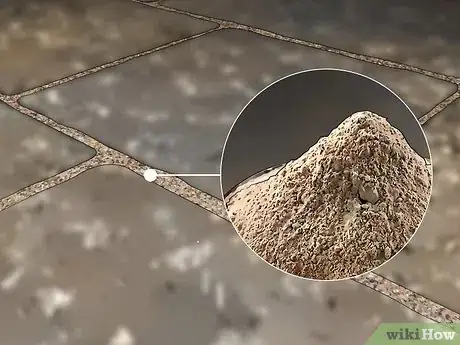 Imagen titulada Clean a Stone Patio Step 9