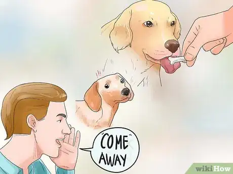 Imagen titulada Stop Aggressive Behavior in Dogs Step 7