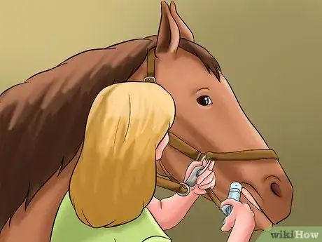 Imagen titulada Give Horses Liquid Medications Step 8