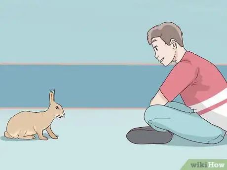 Imagen titulada Pet a Rabbit Step 3