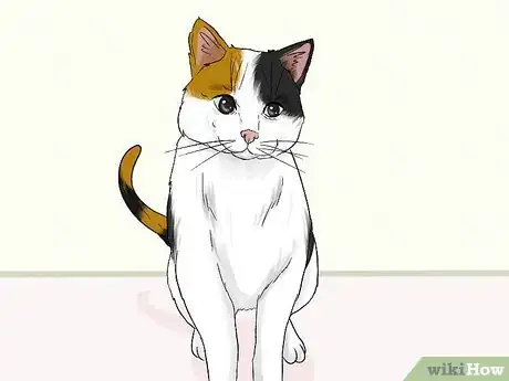 Imagen titulada Stop an Older Cat from Attacking a Kitten Step 13