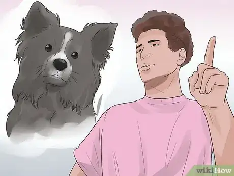 Imagen titulada Train Border Collies Step 3