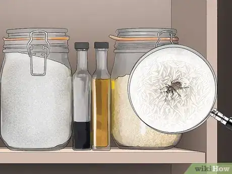 Imagen titulada Get Rid of Pantry Bugs Step 1
