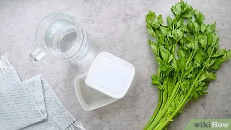Imagen titulada Store Celery Step 1