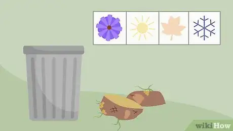 Imagen titulada Grow Potatoes in a Trash Can Step 6