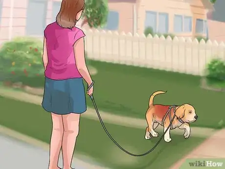 Imagen titulada Put on a Puppy Harness Step 7