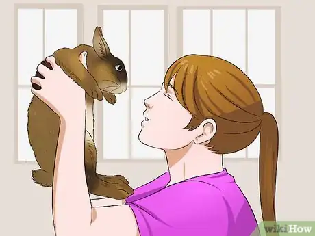 Imagen titulada Train a Rabbit to Stop Chewing Carpet Step 11