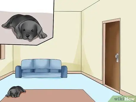 Imagen titulada Pick Up a Puppy Step 20