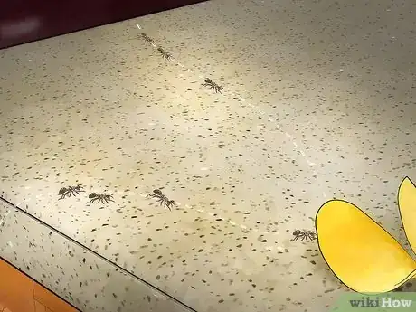 Imagen titulada Stop Ants From Coming Into Your Home Step 12