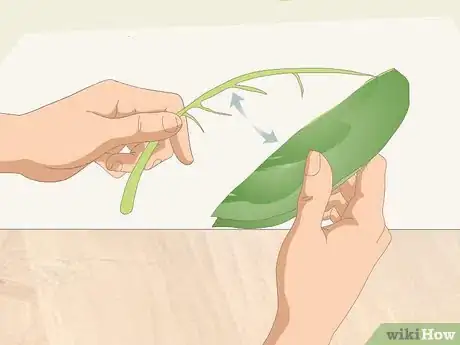Imagen titulada Wash Spinach Step 5