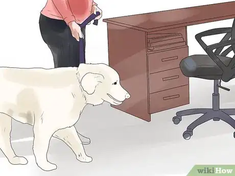 Imagen titulada Bond With Your Dog Step 16